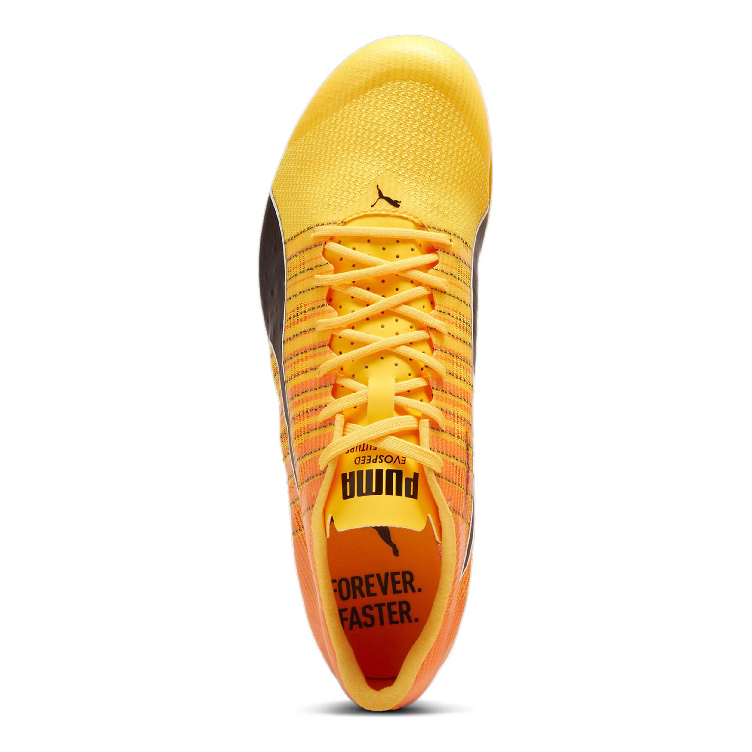 Puma EvoSPEED FUTURE 6 Spikes